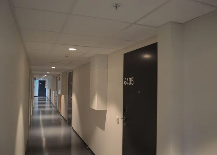 The Company - Majorstuen *